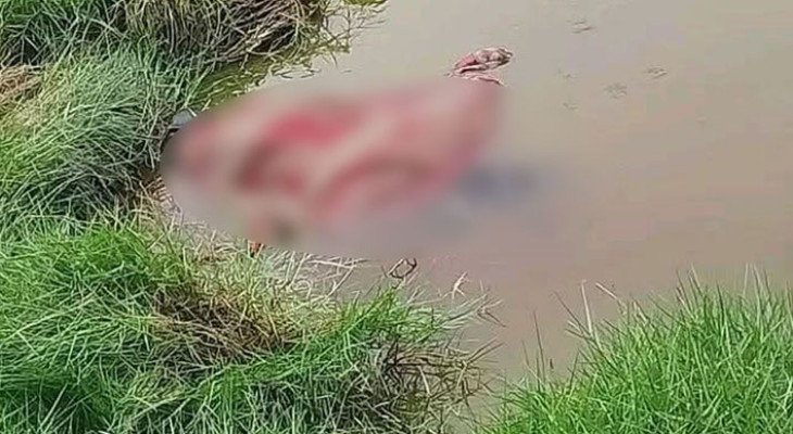 খুলনায় পুলিশ কর্মকর্তার মাকে গলাকেটে হত্যা 
